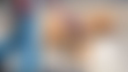 Acceso Público de Perros de Asistencia: Derechos y Normativas