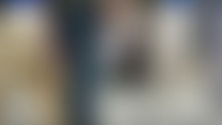 Cómo Seleccionar a un Perro de Asistencia