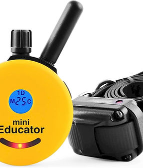 La imagen muestra un collar de entrenamiento para perros, conocido como "mini Educator." Este dispositivo cuenta con un mando amarillo con pantalla digital, donde se pueden ajustar y visualizar los niveles de intensidad.
