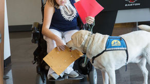 Entendiendo las Certificaciones para Perros de Asistencia en México