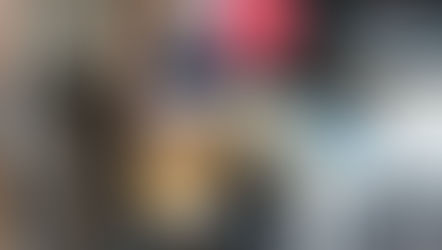 Entendiendo las Certificaciones para Perros de Asistencia en México