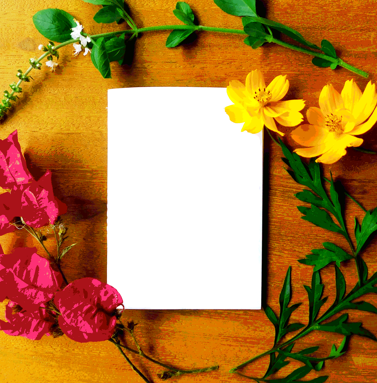 GIF-amor-proprio-capa2.gif