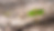 planta.png