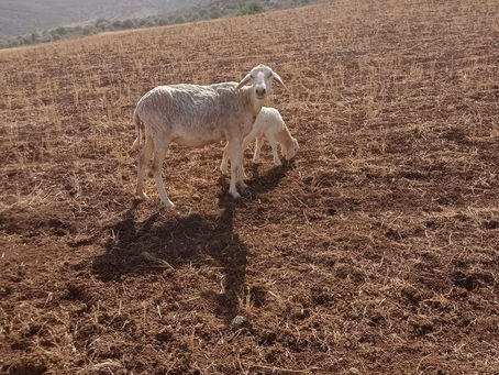 Photography/Passage Composition