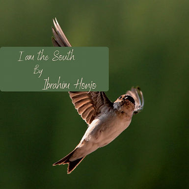 I am the South