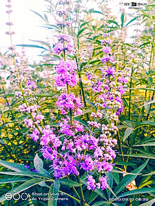 ZEE_PicsArt_07-26-10.47.04.jpg