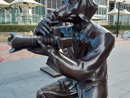 Visual Arts: Photography