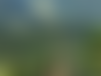 The Ballad of Summer