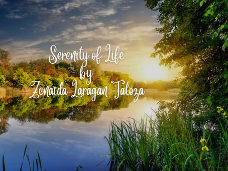 SERENITY OF LIFE