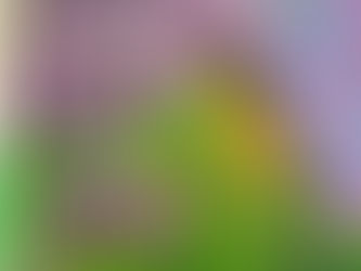 Art/Poetry Composition