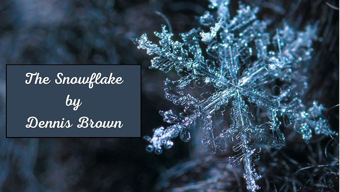 THE SNOWFLAKE
