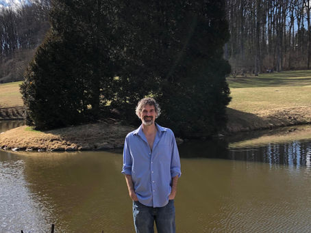 An Ode to Spring in the Form of Collage