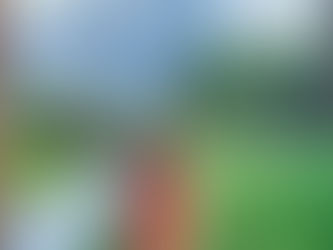 A Smorgasbord of Visual Arts