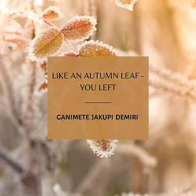 GANIMETE JAKUPI DEMIRI