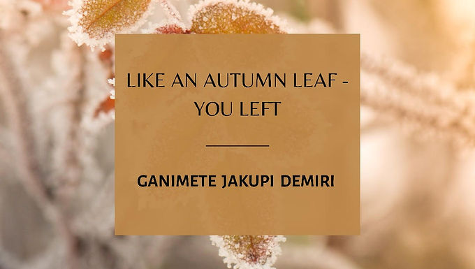 GANIMETE JAKUPI DEMIRI