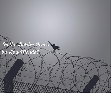 ON THE BORDER FENCE