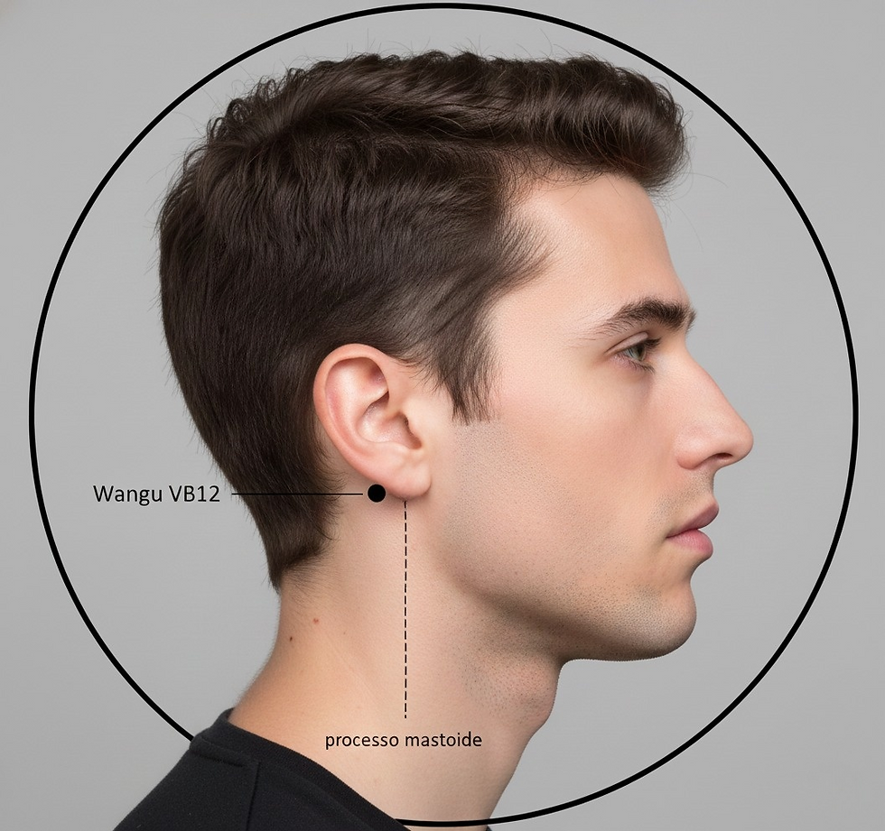 Ilustração da localização do ponto de acupuntura VB12 Wangu na depressão posteroinferior ao processo mastoide, no meridiano da Vesícula Biliar