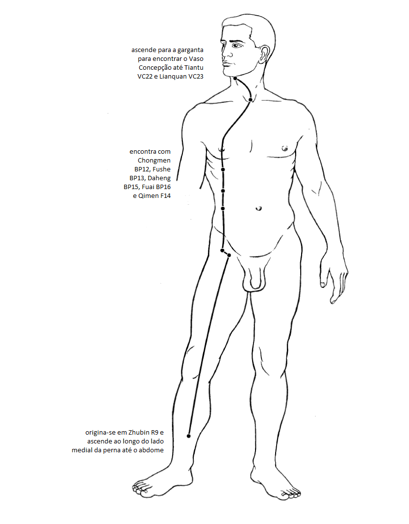 Ilustração comparativa dos Vasos de Conexão, Yin Wei Mai e Yang Wei Mai. Os diagramas mostram como eles conectam e regulam todos os meridianos Yin e Yang do corpo, respectivamente
