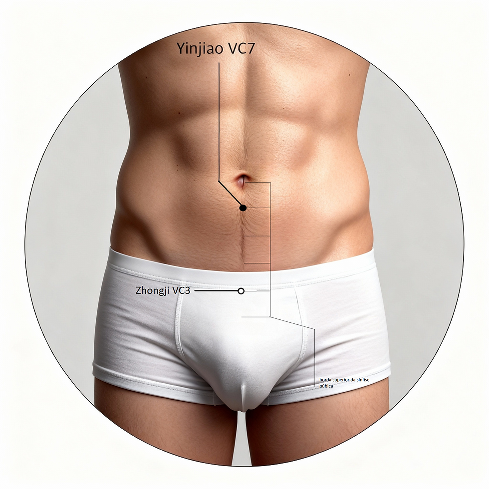 Ponto de acupuntura VC3 Zhongji no meridiano do Vaso da Concepção, localizado na linha média do baixo abdome acima da sínfise púbica, usado para harmonizar a bexiga urinária e tratar disfunções urogenitais
