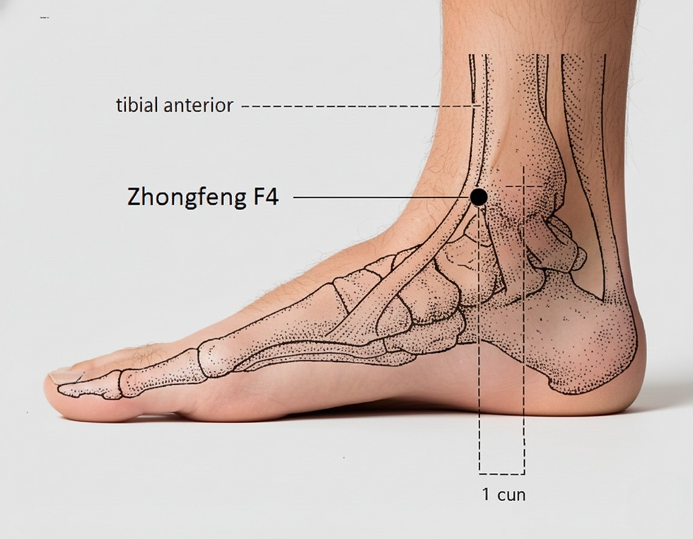 Ponto de acupuntura F4 Zhongfeng na frente do tornozelo, usado tradicionalmente para aliviar dor no abdome inferior, frio nos pés, perda de apetite e tensão energética