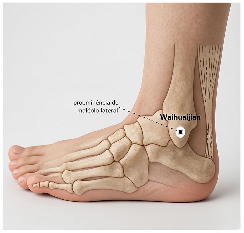 Ponto extra de acupuntura Ex-LE9 Waihuaijian na borda lateral da articulação do tornozelo (tipo ‘olho’ do tornozelo), tradicionalmente usado para liberar bloqueios, aliviar dor e melhorar mobilidade