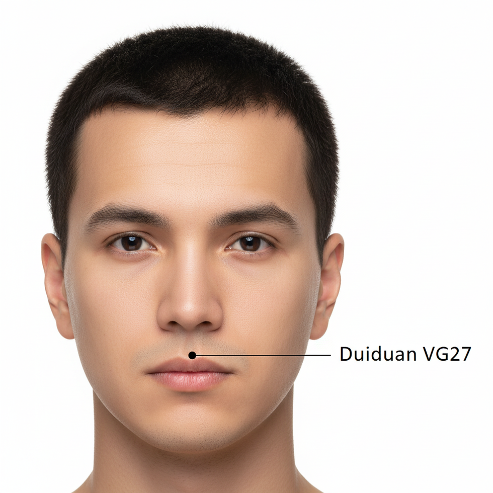 Ilustração da localização do ponto de acupuntura VG27 Duiduan na junção cutaneomucosa do lábio superior na linha média