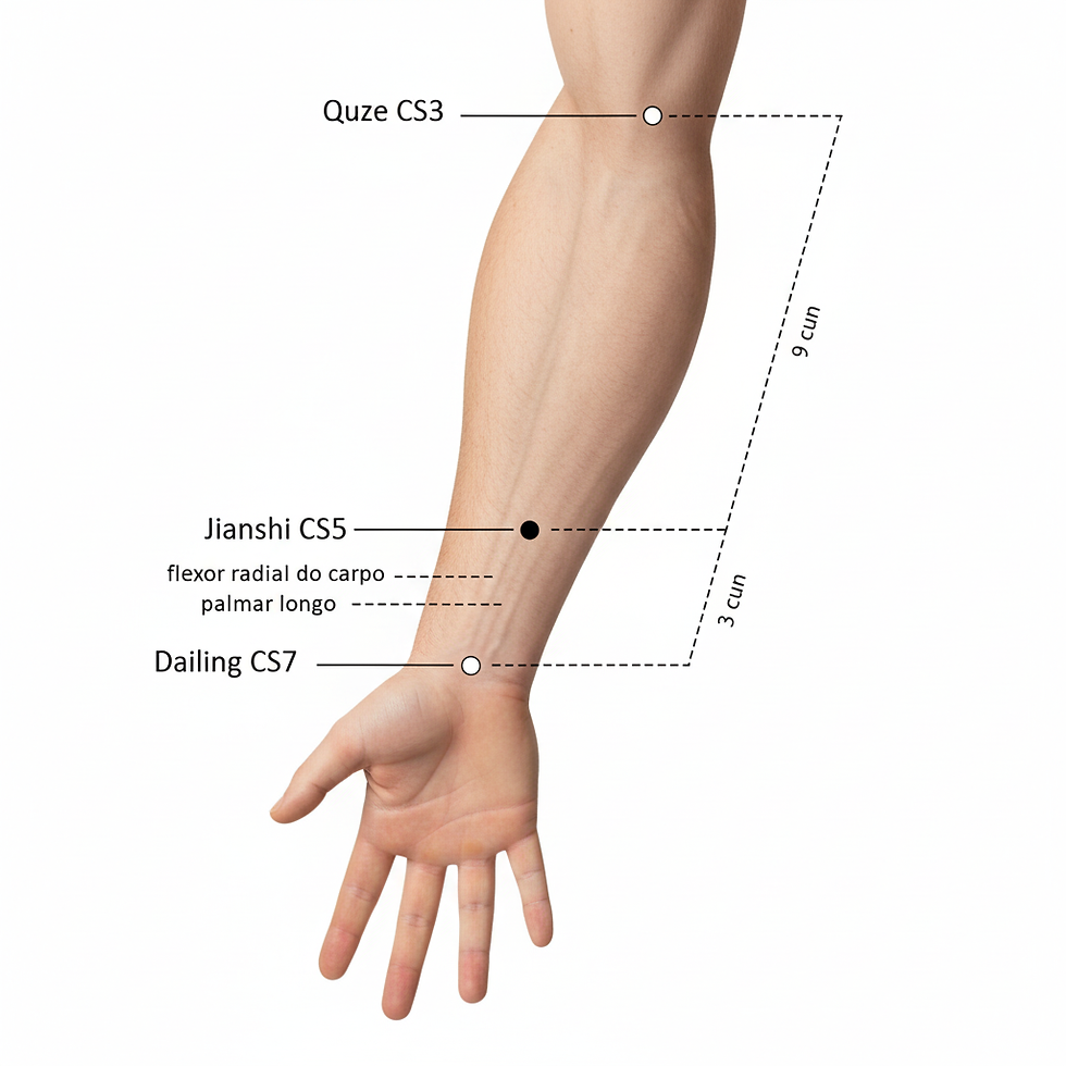 Ilustração anatômica do ponto CS5 Jianshi (Intermediário), no antebraço, destacando sua função crucial em transformar a fleuma, acalmar o espírito (Shen) e tratar desordens mentais graves como mania e epilepsia