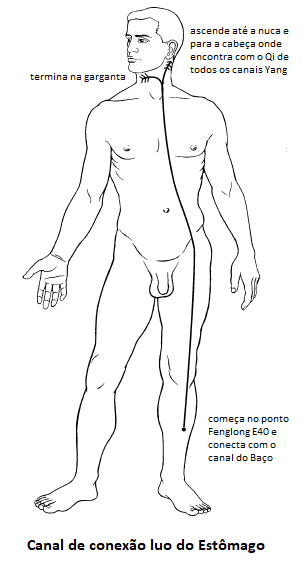 Diagrama do canal de conexão Luo do Estômago. O trajeto é ilustrado partindo do ponto Fenglong (E40) na perna, conectando-se com o canal do Baço e subindo pelo corpo até a nuca e a garganta