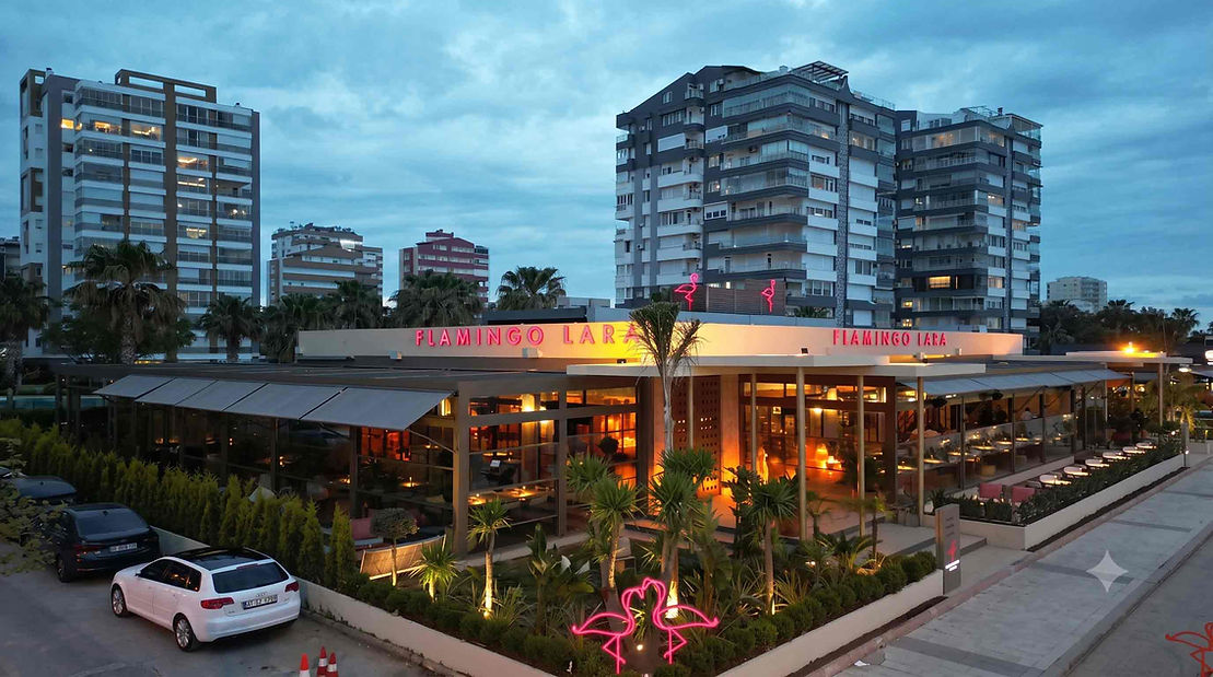 OzdemirConstruct_Flamingo.jpg
