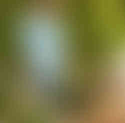 Matteo Valencic är en av dina Champagneguider på denna Champagneresa med guldkant.