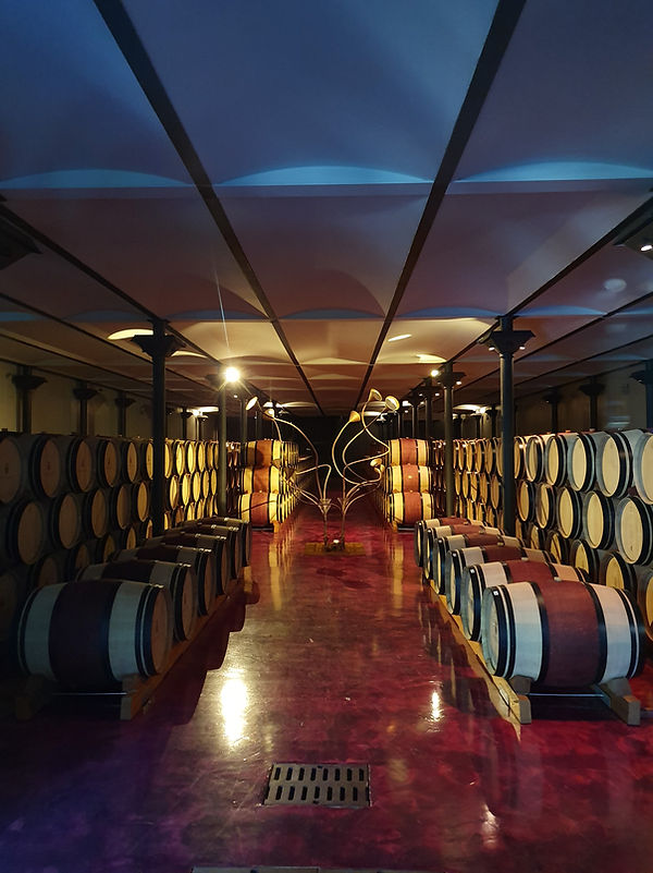 Massto Wine Cellar with French Oak Barrels filled with Ornellaia Super Tuscan Red Wine!