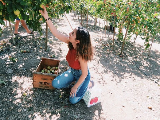 Pauline's sister picking some apples at Riley's Apple Farm. This Apple Picking Tour is siutable for families wanting to do a trip in nature!