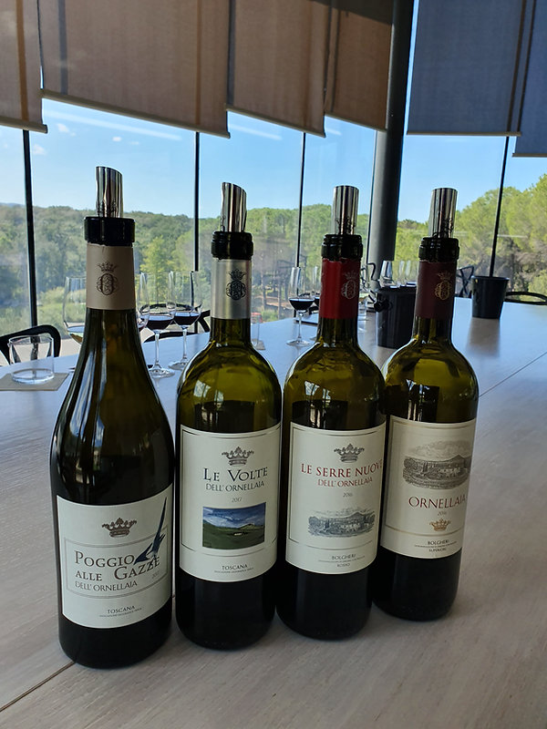 Poggio alle Gazze dell'Ornellaia 2017, Le Volte dell'Ornellaia 2017, Le Serre Nuove dell'Ornellaia 2016 and Ornellai La Tensione 2016 Wine Tasting on Masseto Ornellaia Winery!