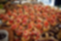 Screen Shot 2024-07-04 at 9.04.08 AM.png