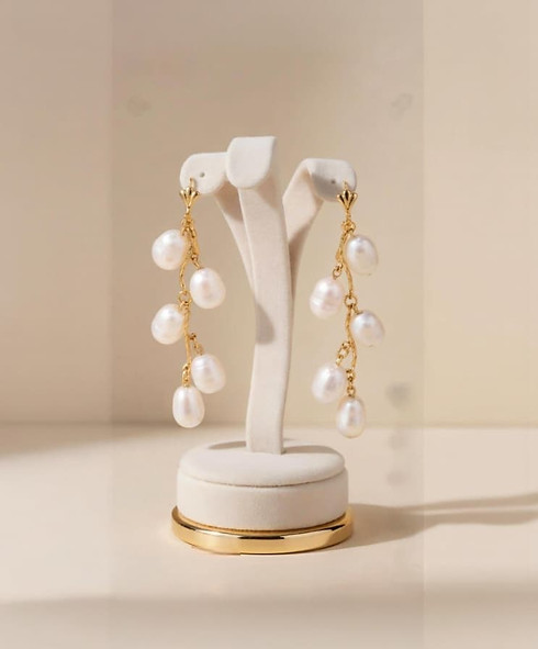 WhatsApp Image 2026-03-24 at 12.01.26 PM.jpeg