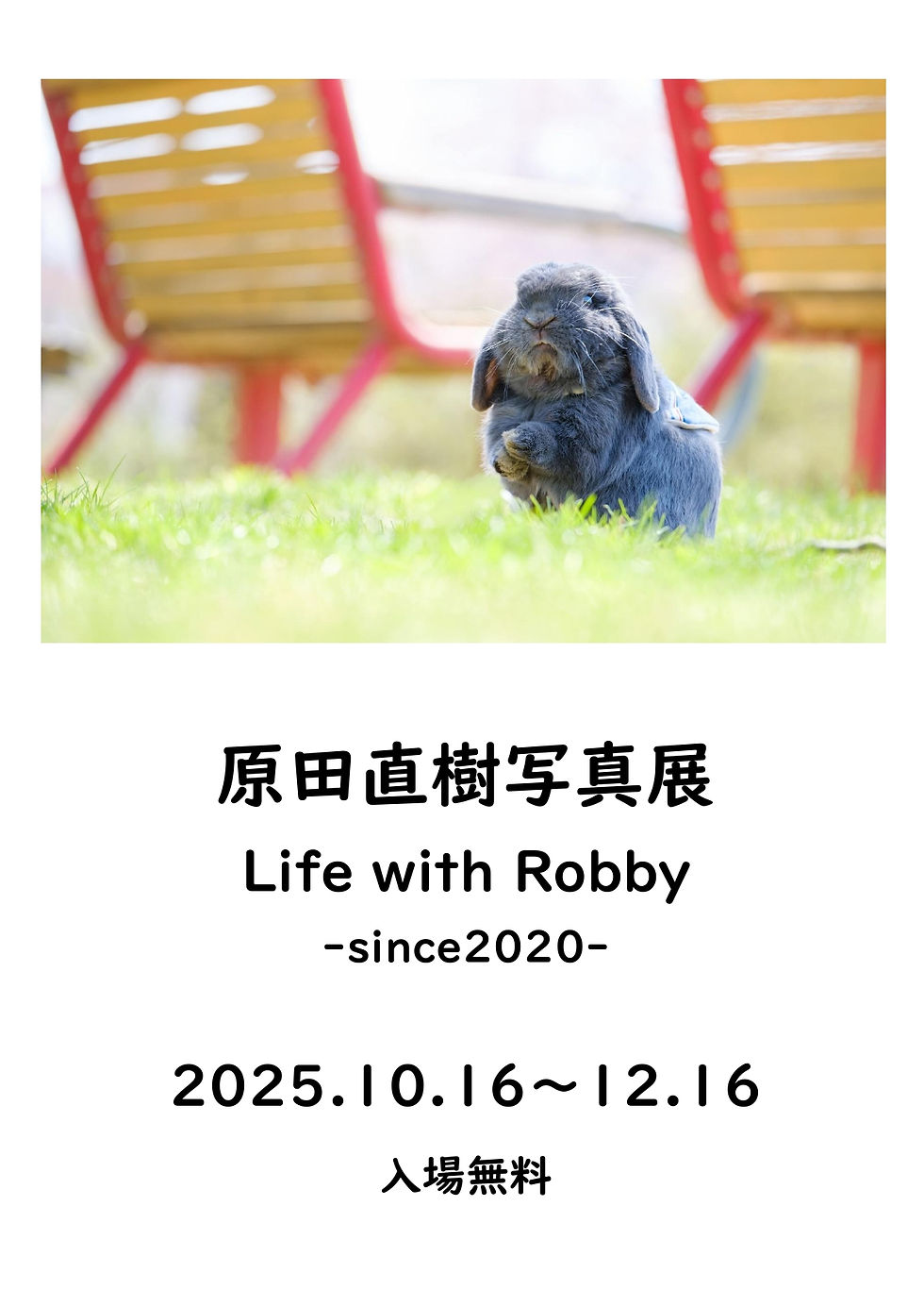 「原田直樹写真展　Life with Robby -since 2020-」を開催いたします。