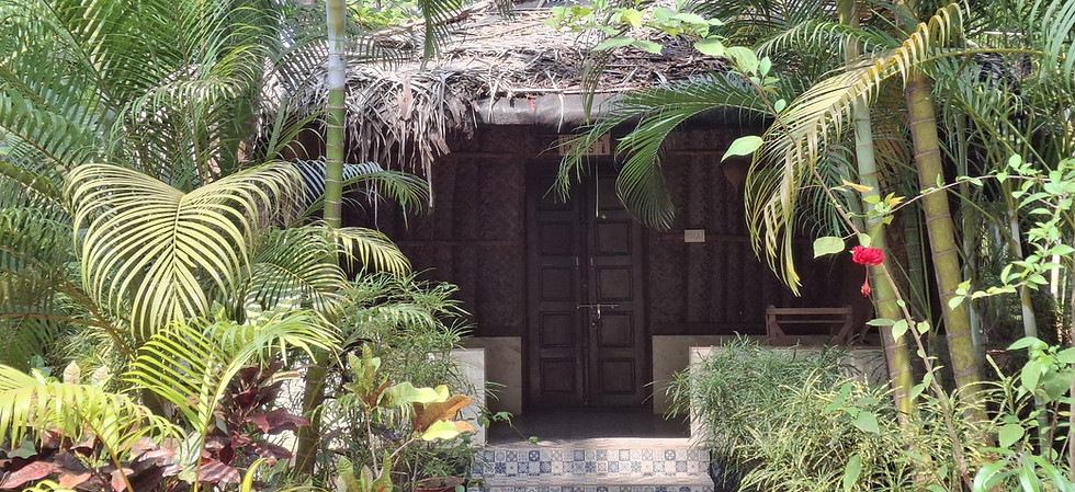 Eco cottages at Palm Trees Yoga Resort