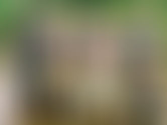 Our New Website Has Arrived!