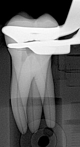 16 im ELM Modul_1.jpeg