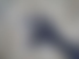 Op een muur met behang met een klassiek patroon zie je de schaduw van een eland, gemaakt door twee handen.