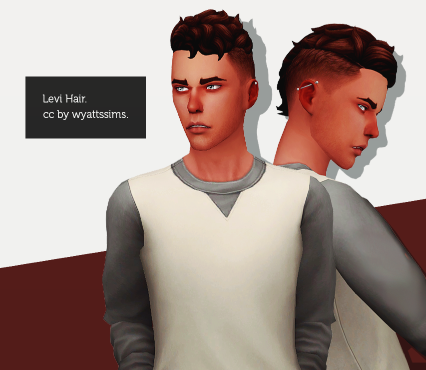 LEVI HAIR (VERSIONS I & II)