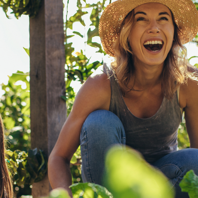 Screen Shot 2022-12-21 at 21.32.54.png