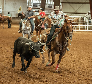 CBCo-RosePalace-4555_edit.jpg