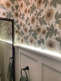 Bathroom LED wainscot designed Tony Robert’s