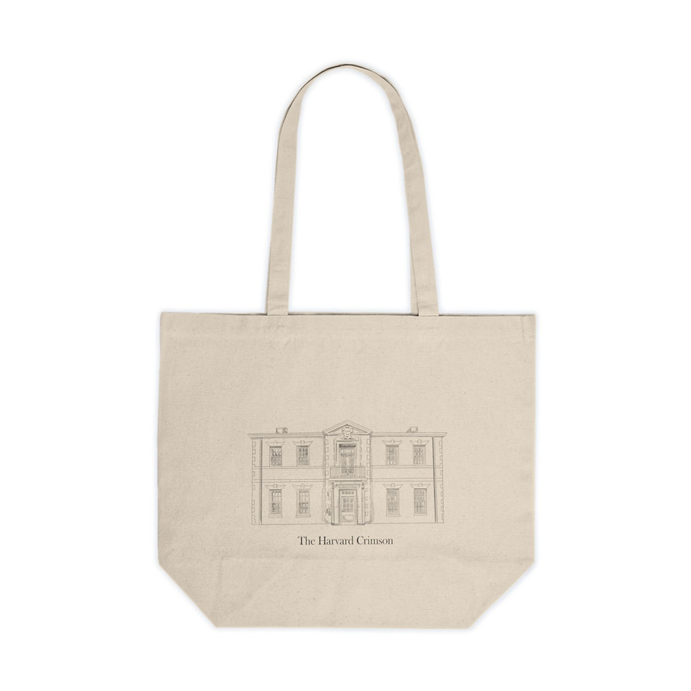 Thumbnail: 14 Plympton Tote Bag