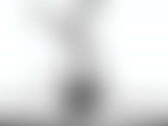 מפגש שני - תמונות של חנונים