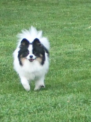 IMG_0749crop.JPG