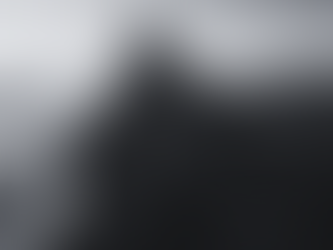 Income Strategy | Rising Phoenix Capital