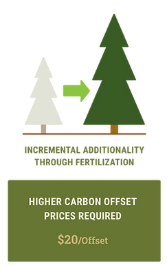 Carbon 4.png