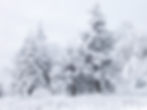 Winter Activities